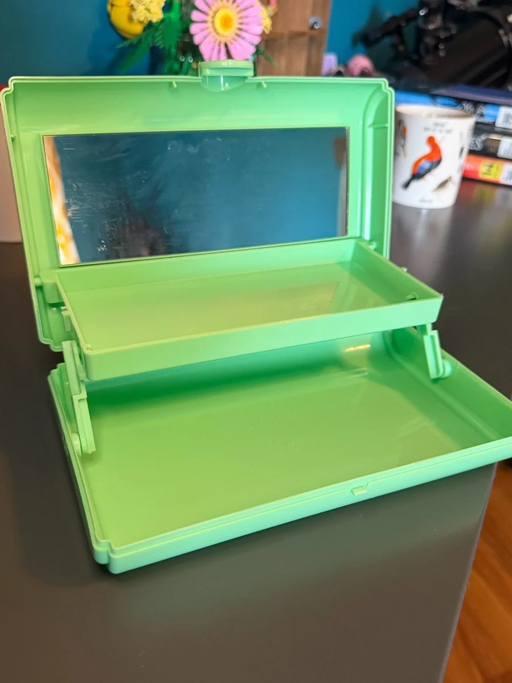 Crayola Limited Edition Mint Caboodle